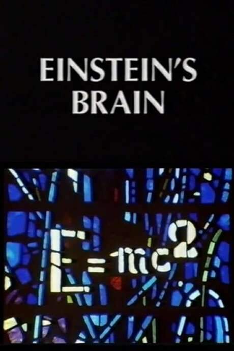The film follows Professor Kenji Sugimoto, a specialist in the history of mathematics and science at Kinki University in Japan, who has devoted three decades to researching and publishing on Albert Einstein’s life and character. In pursuit of a definitive conclusion, he journeys to the United States to locate the preserved remains of Einstein’s brain, tracing the story through archives, interviews, and personal reflections.